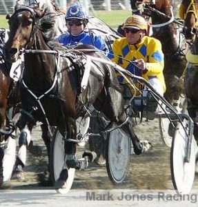 Zena Mac, an upset chance from a good alley at Nelson on Sunday.