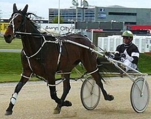 Real Torque, notched her third win from just seven starts when successful at Alexandra Park on Friday, November 20.