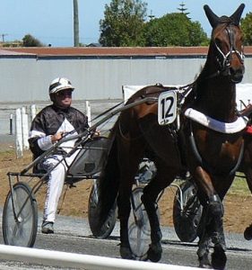 Danke, a value runner for Robbie Close at Timaru on Sunday. 