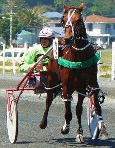 Return To Sender, Rocker Band's older half-brother, who has been exported to North America after winning eight for the Robert Dunn stable.