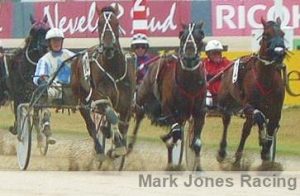 Rocker Band, winning the Prodigal Seelster Summer Of Speed Series Heat at Addington in January. She faces a tough ask from the outside gate in the $100,000 PGG Wrightson NZ Breeders Stakes at Addington tonight.