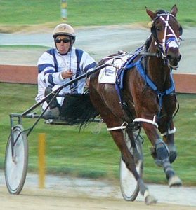 Luisanabelle Midfrew and Matthew Williamson run clear near the finish of the $146,250 PGG Wrightson NZ Yearling Sales 3YO Fillies Pace at Addington.