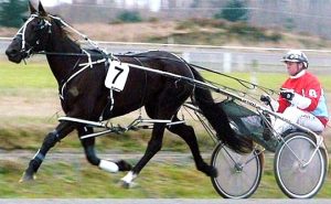 San Fran Lady, warming up at Rangiora six years ago for the Mark Jones stable.