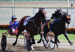 Smolda paces a staggering 2:48 (2400m) to win the $A100,000 Bohemia Crystal Free-For-All at Menangle on February 28.