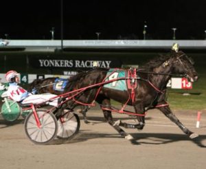 Texas Terror, initially developed by Overport Lodge trainer Mark Jones, takes out a $US50,000  Levy Memorial Heat at Yonkers on Sunday, March 21, in 1:51. (Photo courtesy of Mike Lizzi).