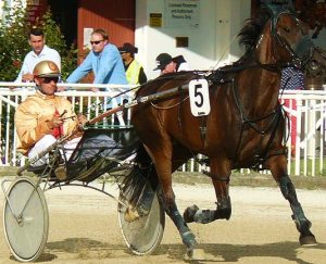 Arran Chief, with Burnham trainer-driver, Andrew Faulks