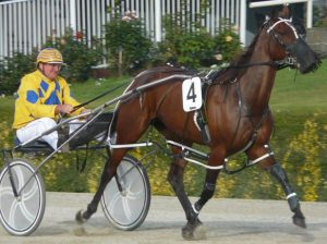 Coringa Delight, an upset first 4 chance providing she steps safely in Race 9 at Rangiora on Sunday.