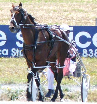 Algeepee, will remain in the north for premier racing next month. Ageepee