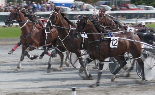 Lethal Rocket (white headgear) goes close but can't quite get past Sleep Tripp at the finish of the Cheviot Cup. Lightning Raider is a close-up third wide out, with favourite Smiling Shard (obscured widest) fourth. Cheviot_Cup_fin_2011
