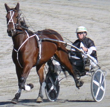 Commander Jewel, back at action at the Motukarara trials. Comm_Jewel