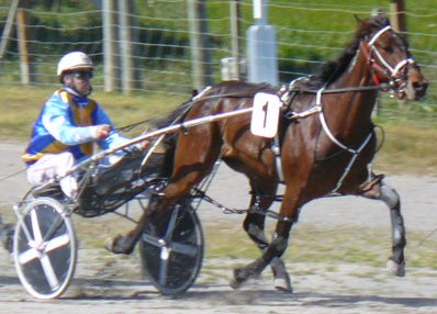 Courage Talks strides out at the Motukarara workouts on October 16 in Regan Todd's colours.