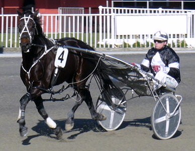 Bedlam, justified his warm favouritism with an easy win on the first day at Nelson. Ernie_Bedlam