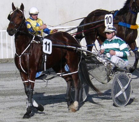 Esprit Jaccka, second on Tuesday, backing up over 2000m from a stand on Thursday. Esprit_Jaccka