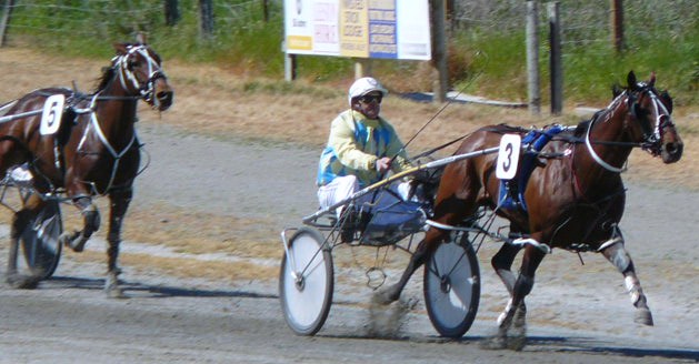 Franco Torres, co-owned by Peter Chambers, wins his Motukarara qualifier impressively for driver Craig Thornley. Honey Delight makes ground late along the inner for third.
