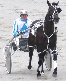 Jackaroozy, to race in NSW. Jackaroozy