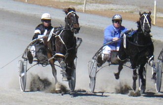 Jellignite unwinds strongly to get with a half-head of Arden Tetrick in their Motukarara trial.