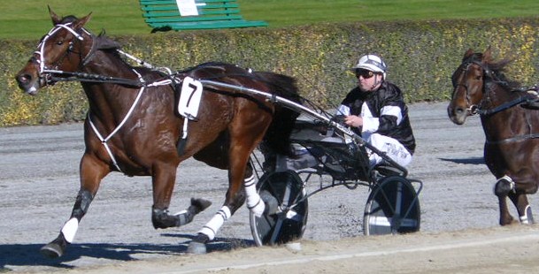 Commander Jewel is in control at the finish of the $25,000 NZ Trotters Oaks. Jewel_wins_Trot_Oaks