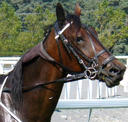 Juneamy Castleton Juneamyhd