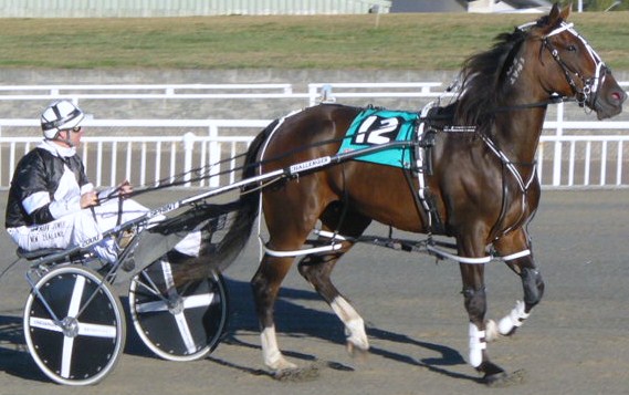 Lethal Rocket, now the winner of two from three in NSW. Lethal_Rocket