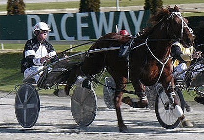 Lively Eastburn, added to a good family record for East Takaka breeder 'Skeet' Barnett at Nelson on Sunday. Livel_Eastburn