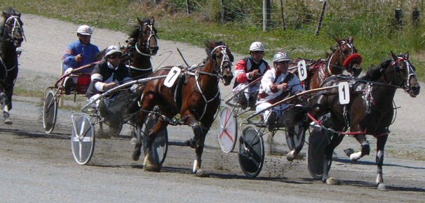 Kristoff finishes well wide for second to Jumeirah in his Motukarara qualifer. Mot_qual_trial_Dec_14