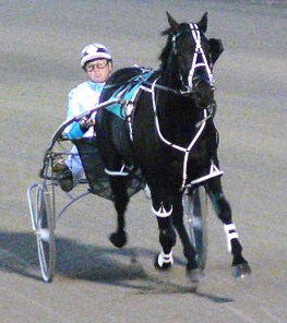 OK Courage, who returned to winning form at Forbury. OK_Courage