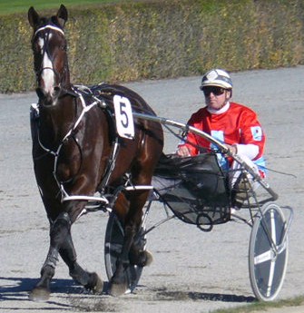 Sarkozy, should race on to good effect in West Australia. Sark_Add