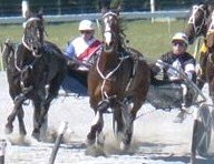 Sarkozy leads turning for home in a Motukarara workout win over Sentebale.