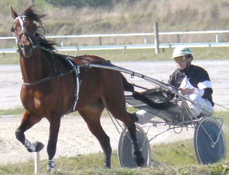 King Of Strathfield, two from two grass tracks. Strathfield