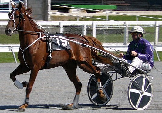 Glenferrie Miner, marking time until next season. g miner