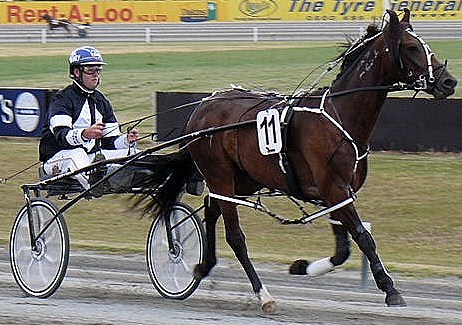 Jellignite, a 1:52.4 winning miler at Menangle. jellig prelim