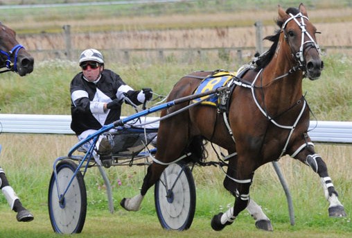 Lethal Rocket, shown winning the Waikouaiti Cup in February. lethal-rocket-action-9