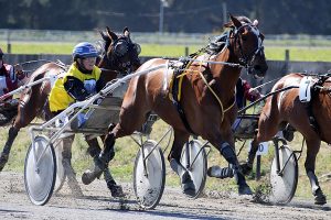 Kowhai Whiz, finds a suitable race to be a contender at Forbury on Thursday. (Race Images photo).