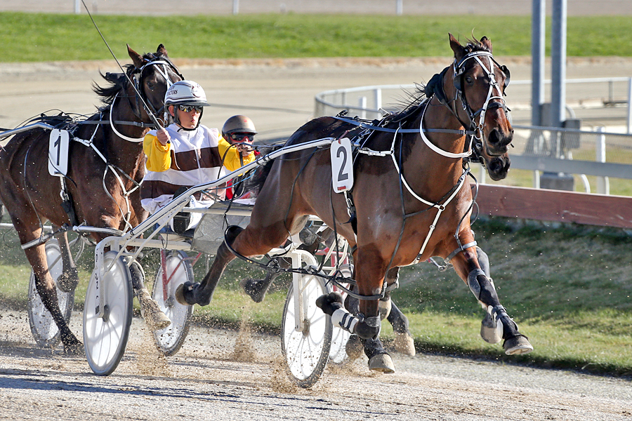 Croft Bay and Samantha Ottley, who notched their second Addington win in their last four starts last week. A chance again despite the back row over 1950m in the C2-5 Faulks Investments Ltd Mobile Pace at Addington on Friday. 