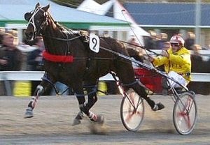 Franco Emirate storms home wide to win the 2011 Harness Jewels 4YO Emerald at Ashburton in 1:53.8.