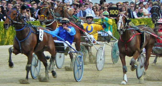 Monbet arrives on the open class scene, winning the Group One Granite Benchtop  Company NZ Trotting Free-For-All on NZ Cup day at Addington. 