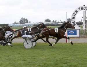 Amissaduqa shows good stamina to take out the 3000m maiden at Methven on Sunday.