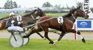 Ammisaduqa, shown scoring a comfortable win over Jonty James in the 3000m distance maiden at Methven on September 18.