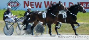 Fancy Woman (Samantha Ottley) holds stablemate Majestic Lavros (Mark Jones) in the 2YO trot at the Rangiora trials.