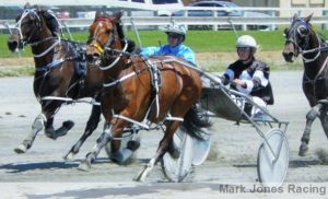 Ice Crusher (Samantha Ottley) holds You Gotta Have Faith (Tim Williams) in the C1 mobile 2000m pace at the Rangiora trials.
