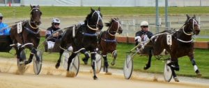 The Bus, and trainer Mark Jones, hold the challenge of the All Stars trio in a 2YO Mobile Pace at the Addington trials on Wednesday, November 2.