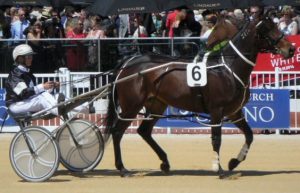 Real Torque, Auckland-bound next month after winning at Orari on Saturday.