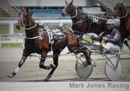 Roll On Styx shows good gate speed to lead early in the first 2YO colts and geldings heat at the Ashburton trials.