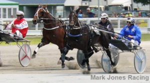 Squire(Aus) makes his run between winner Ashley Locaz and Awayovernight (partly obscured wide) in the run home at the Ashburton trials.
