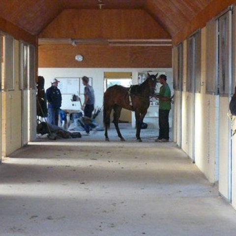 inside the barn